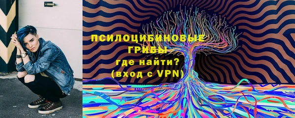 прущие крисы Новокубанск