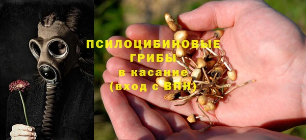 прущие крисы Новокубанск