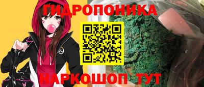 ешки Будённовск