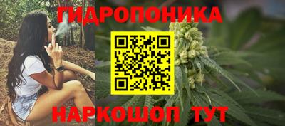 ешки Будённовск