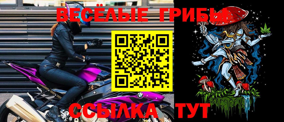 купить наркотики цена  Новоуральск  Галлюциногенные грибы Psilocybe 